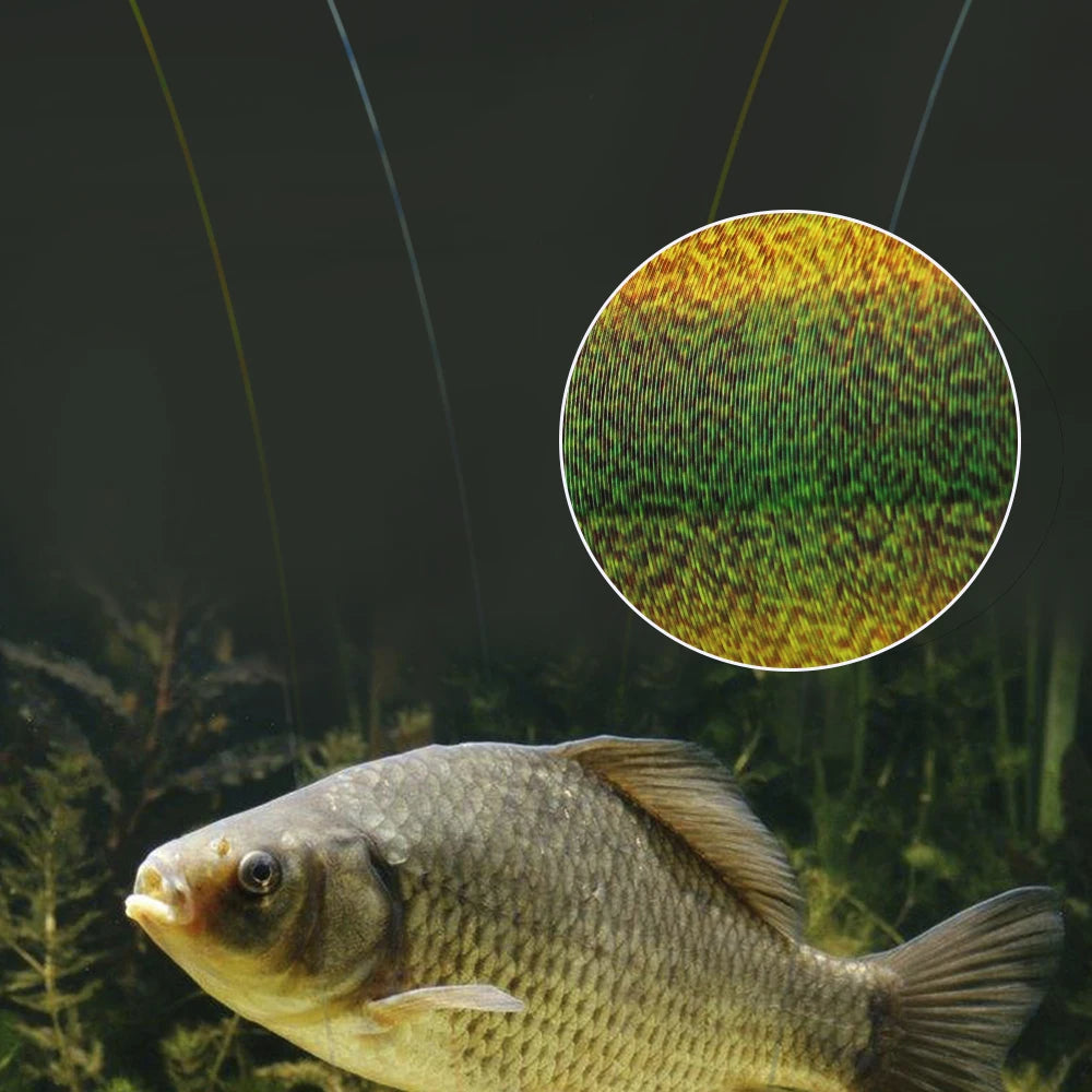 Invisible Fishing Line 300/500m - Fluorocarbon Coated