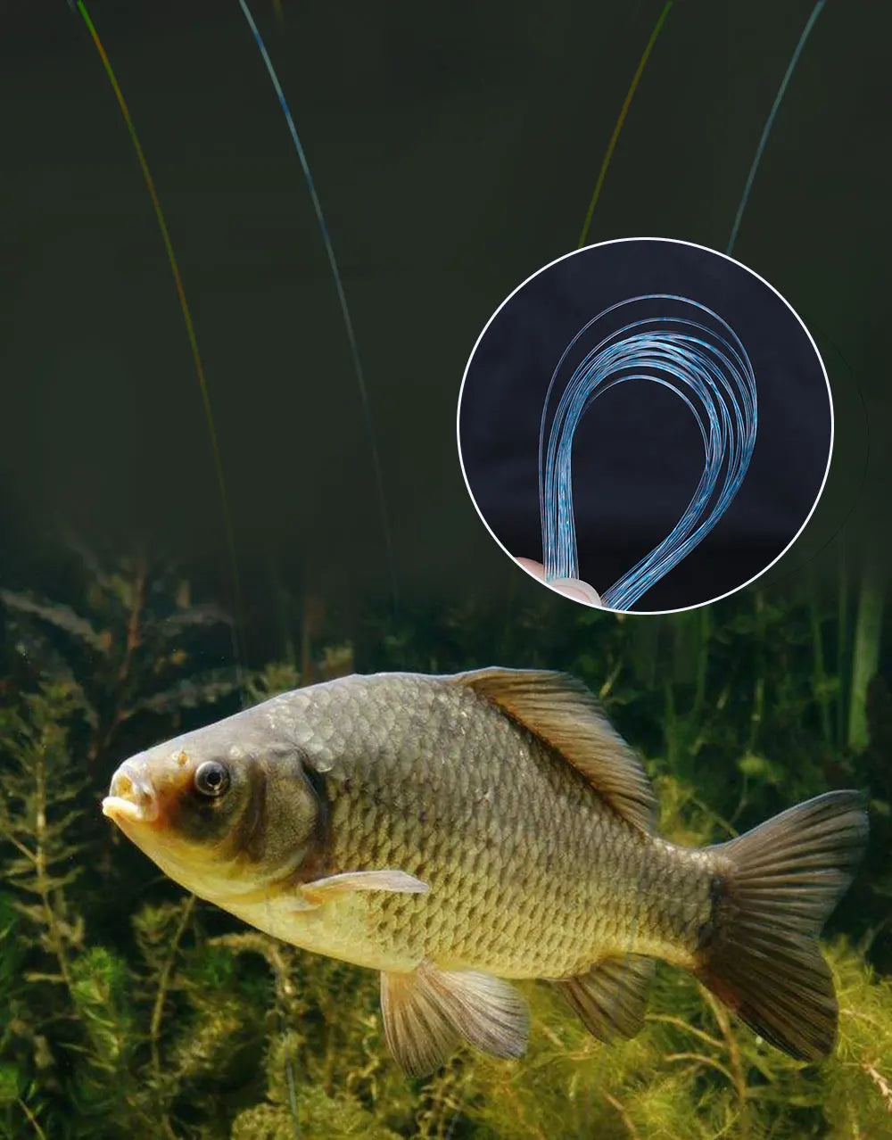 Invisible Fishing Line 300/500m - Fluorocarbon Coated