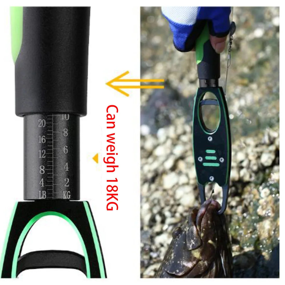 Fishing Lip Grip with Scale - 28.8cm Aluminum